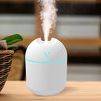 Mini USB Aroma Humidifier